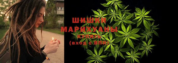 прущие крисы Ачинск