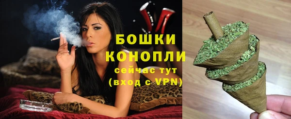 индика Магас
