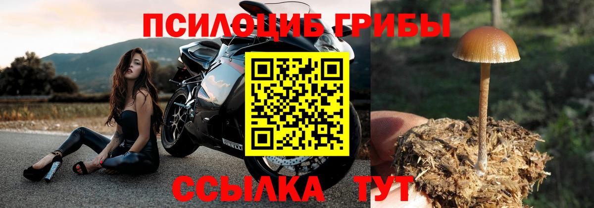 Псилоцибиновые грибы Psilocybine cubensis  Псилоцибиновые грибы мицелий  Добрянка  Вход с VPN 