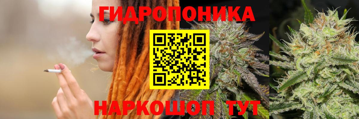 Бошки марихуана сатива Добрянка